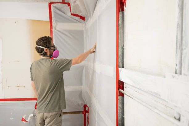 Best Black Mold Removal  in Burlington, CO