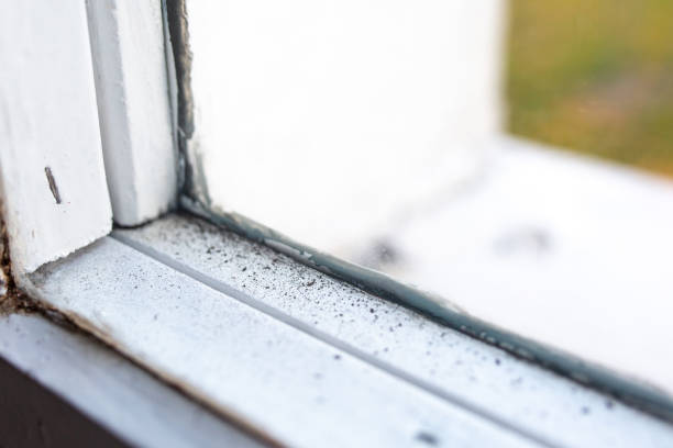 Best Real Estate Mold Inspection  in Burlington, CO
